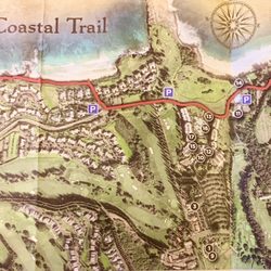 Kapalua Hiking Trails - 6/18-7/1/2021:  The Maui Bus #28 will take you through the Town Of Kapulua hiking these majestic, scenic trails.