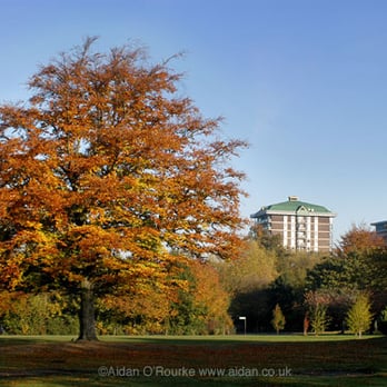 Platt Fields Park - Parks Near Me - Manchester, MAN Platt Fields Park - Parks Near Me - Manchester, MAN