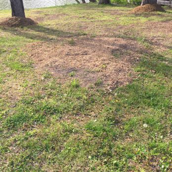 J & J Tree Works - Stump removal - Tree Services Near Me - Woodstock, New York J & J Tree Works - Stump removal - Tree Services Near Me - Woodstock, New York