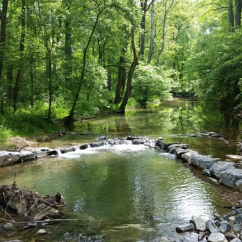 Little Bennett Regional Park - Engineered rock vane in Little Bennett Creek - Parks Near Me - Clarksburg, Maryland