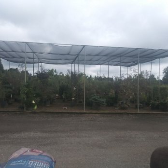 Blake's Backyard - Trees for sale - Fruits & Veggies Near Me - Almont, Michigan Blake's Backyard - Trees for sale - Fruits & Veggies Near Me - Almont, Michigan