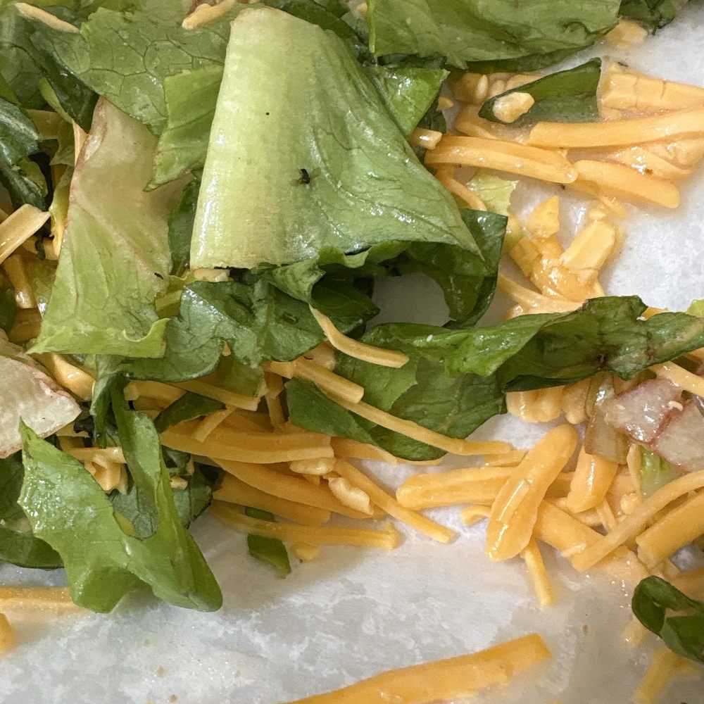bugs chilling in the salad :P bugs chilling in the salad :P