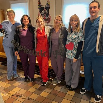 Slade Veterinary Hospital - Veterinarians Near Me - Framingham, Massachusetts Slade Veterinary Hospital - Veterinarians Near Me - Framingham, Massachusetts