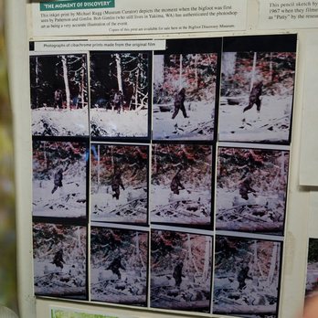Bigfoot Discovery Museum - Museums Near Me - Felton, California
