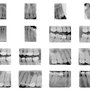 Photo of Rubinstein D Kenneth , DMD