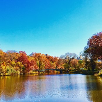 Central Park Conservancy - Parks Near Me - New York, New York Central Park Conservancy - Parks Near Me - New York, New York