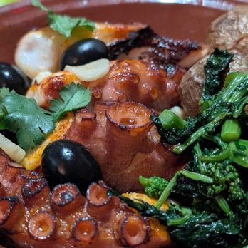 Aquario Restaurant - Mediterranean Octopus Broiled Served with Sautéed Garlic in Olive Oil - Seafood Near Me - Harrison, New York