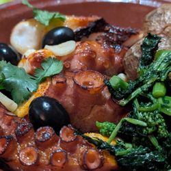 Mediterranean Octopus Broiled Served with Sautéed Garlic in Olive Oil