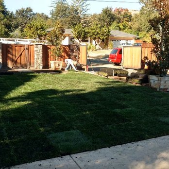 Francisco's  Landscaping -  backyard with a fire hydrant - Landscaping Near Me - Concord, California