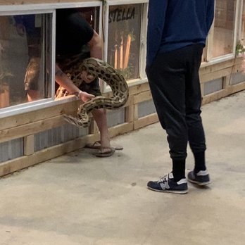 Idaho Reptile Zoo - Taking Stella out (the 130lb anaconda) to "try on" - Zoos Near Me - Boise, Idaho Idaho Reptile Zoo - Taking Stella out (the 130lb anaconda) to "try on" - Zoos Near Me - Boise, Idaho