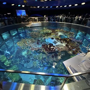 New England Aquarium - Aquariums Near Me - Boston, Massachusetts New England Aquarium - Aquariums Near Me - Boston, Massachusetts