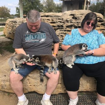 Tanganyika Wildlife Park - Feeding the lemurs. - Zoos Near Me - Goddard, Kansas Tanganyika Wildlife Park - Feeding the lemurs. - Zoos Near Me - Goddard, Kansas