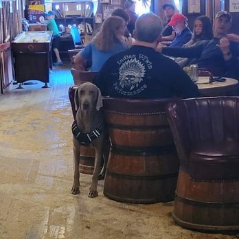 Saloon No 10 - Our dog having a great time. - Bars Near Me - Deadwood, South Dakota