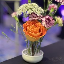 Roots + Blooms - Small bouquets like these were provided on our tables at a work conference.