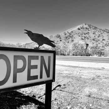 Kaweah Coffee Roasters - a crow perched on a open sign - Coffee Roasteries Near Me - Three Rivers, California Kaweah Coffee Roasters - a crow perched on a open sign - Coffee Roasteries Near Me - Three Rivers, California