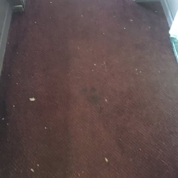 Pazzo's Pizzeria - Wonder if they've ever heard of a carpet sweeper or cordless vacuum?! - Pizza Near Me - Avon, Colorado