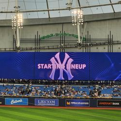 Tampa Bay Rays