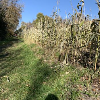 Minnetonka Orchards - Corn maxe - Fruits & Veggies Near Me - Minnetrista, Minnesota Minnetonka Orchards - Corn maxe - Fruits & Veggies Near Me - Minnetrista, Minnesota