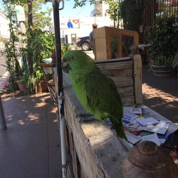 Birdcage Coffee House - Coffee & Tea Near Me - Long Beach, California Birdcage Coffee House - Coffee & Tea Near Me - Long Beach, California