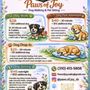 Photo of Paws of Joy