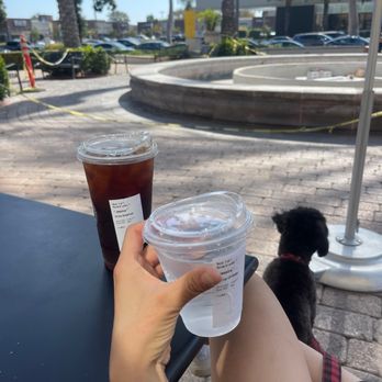 Starbucks - Free drink with starbucks app - Coffee & Tea Near Me - Cerritos, California