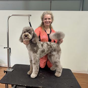 Go Grooming - Pet Groomers Near Me - Wheeling, Illinois Go Grooming - Pet Groomers Near Me - Wheeling, Illinois