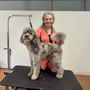 Photo of Go Grooming