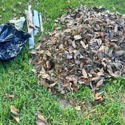 Jones Quality Multi Service - Leafs removal