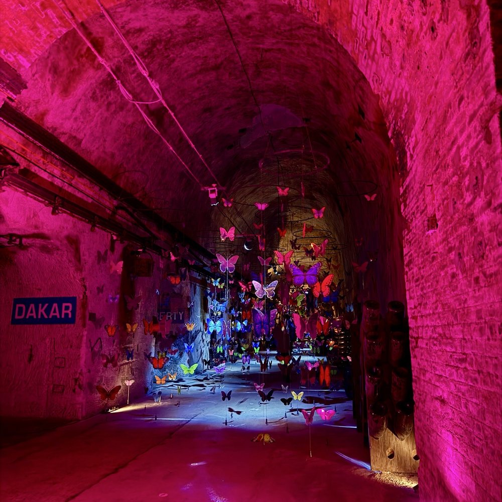 Champagne Pommery - Cave - Wineries Near Me - Reims, 51
