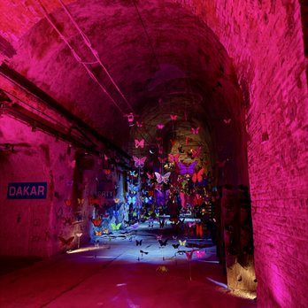 Champagne Pommery - Cave - Wineries Near Me - Reims, 51
