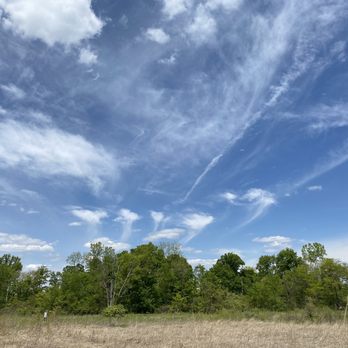 Cox Arboretum MetroPark - Parks Near Me - Dayton, Ohio Cox Arboretum MetroPark - Parks Near Me - Dayton, Ohio