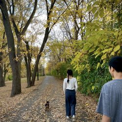 Les Arends Forest Preserve