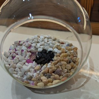 Succulence - A spoonful of horticulture charcoal is added - Team Building Activities Near Me