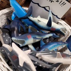 Yes they have sharks.