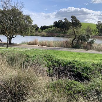 Ed R. Levin County Park - Nice stroll. - Dog Parks Near Me - Milpitas, California