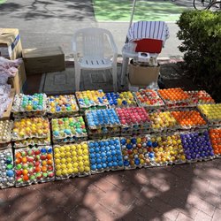 Old Spanish Days Fiesta - Confetti Eggs.!!