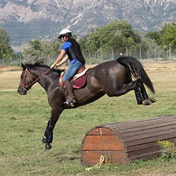 Southern Belle Riding - Eventing Show