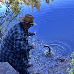 Sawmill Pond - Sawmill Pond fishing