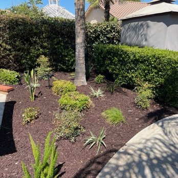 Pacific Crest Landscape - Drip, Plants and Planter Work - Landscaping Near Me Pacific Crest Landscape - Drip, Plants and Planter Work - Landscaping Near Me