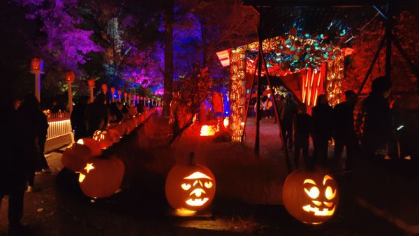 The Great Jack O’Lantern Blaze: Hudson Valley by null