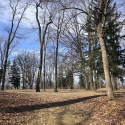 Hunsickers Grove - View of upper field