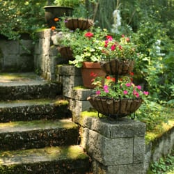 Wayne Bed And Breakfast Inn - Garden steps