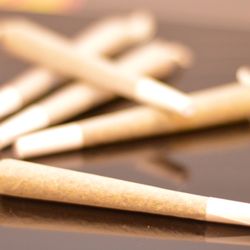 Green Friends of Massachusetts - Prerolled joints