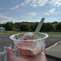 So Good! Ice Cream - Tipsy Peach (9/10); not too sweet, mixed in are chunks of oatmeal clusters, and a bit of caramel swirled in!
