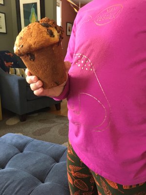 The Studio Cafe by null