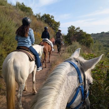 Malibu Riders - Horseback Riding Near Me - Agoura Hills, California