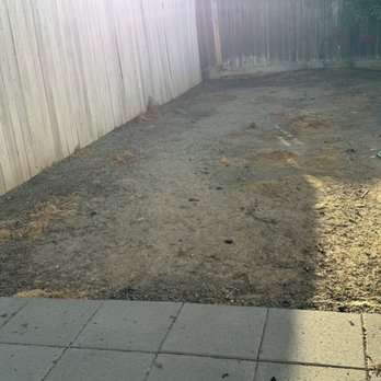 E & K Lawn Service - Dead weeds needed clean up - Lawn Services Near Me