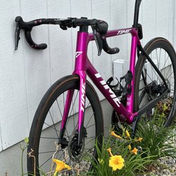 Contender Bicycles