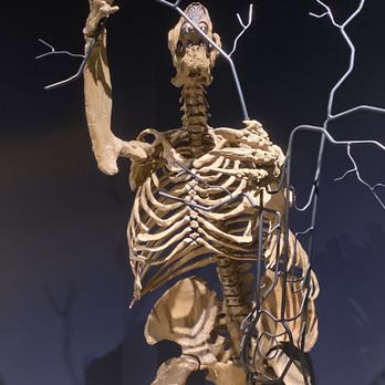 Indiana State Museum - Museums Near Me - Indianapolis, Indiana Indiana State Museum - Museums Near Me - Indianapolis, Indiana