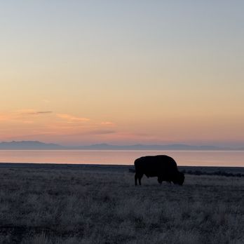 Antelope Island State Park - Hiking Near Me - Syracuse, Utah Antelope Island State Park - Hiking Near Me - Syracuse, Utah